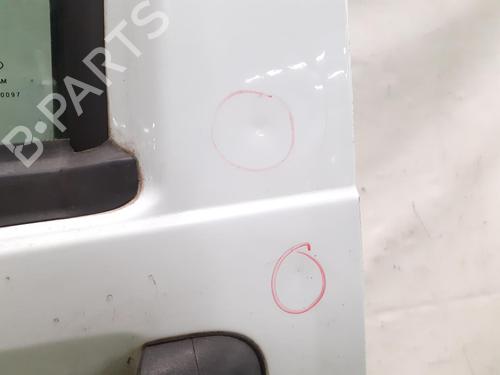 Left front door FORD TRANSIT CONNECT (P65_, P70_, P80_) 1.8 Di | BP24796365C2 