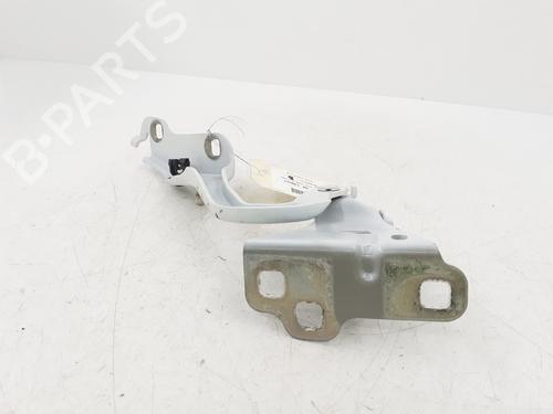 Hinge/Door check strap RENAULT TRAFIC III Platform/Chassis (EG_) 2.0 dCi 145 (EGML) | BP31334517C146