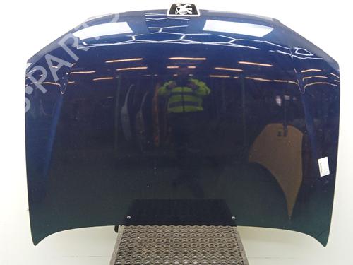 Used Hood Hood PEUGEOT 106 II (1A_, 1C_) 1.1 i (60 hp) 40055957 40055957