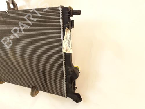 Køler RENAULT KANGOO Express (FW0/1_) 1.5 dCi 95 (FW16) | BP30085551M31