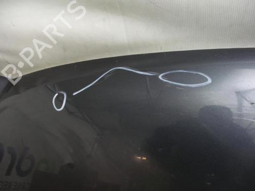 Hood FIAT STILO (192_) 2.4 20V (192_XD1A, 192AXD12) | BP24775302C1 