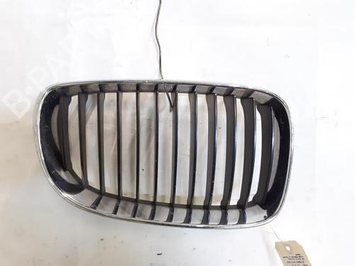 Used Grille BMW 1 (E87) 118 d (143 hp) 24784644