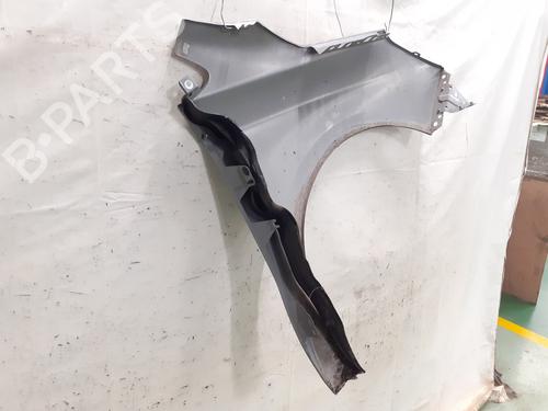 Left front fenders CITROËN C4 II (NC_) 1.6 BlueHDi 120 | BP32385877C41