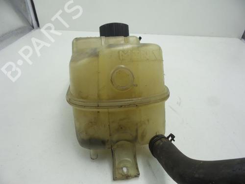 Expansion tank PEUGEOT PARTNER MPV (5_, G_) 1.6 HDi 90 | BP24782451C120