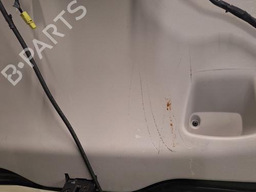 Tailgate RENAULT SCÉNIC III (JZ0/1_) 1.2 TCe (JZ16) | BP29155085C6 