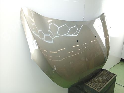 Used Hood Hood DACIA LODGY (JS_) [2012-2026] 36264748 36264748