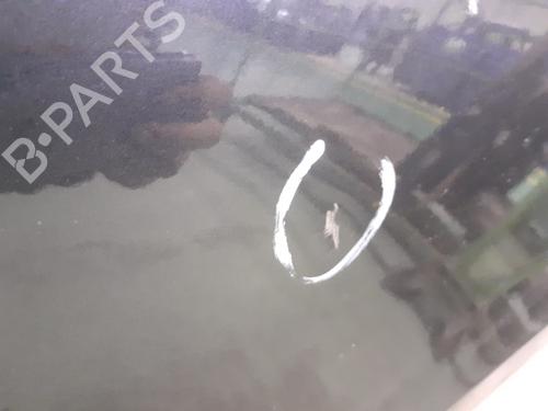 Left front door RENAULT CLIO III (BR0/1, CR0/1) 1.2 16V (BR0P, CR0P) | BP29875464C2