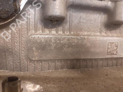 Engine PEUGEOT 208 II (UB_, UP_, UW_, UJ_) e-208 | BP31939806M1