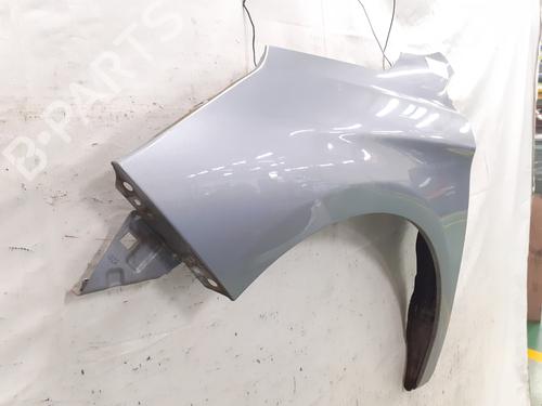 Left front fenders CITROËN C4 II (NC_) 1.6 BlueHDi 120 | BP32385877C41