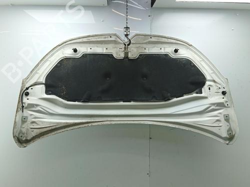 hood-citroen-c3-iii-sx-2016-40200502 main image
