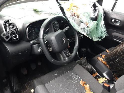 Starter CITROËN C3 AIRCROSS II (2R_, 2C_) 1.2 PureTech 110 (2RHNZB, 2RHNZW, 2RHNPX, 2RHNPJ) | BP24785833M8 - Image 7