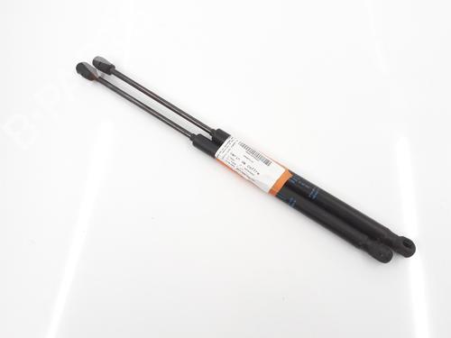 Used Tailgate lift support CITROËN C3 I (FC_, FN_) 1.4 16V (88 hp) 26712493