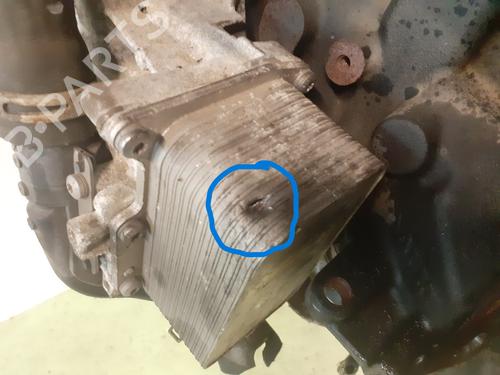 Engine RENAULT MASTER III Platform/Chassis (EV, HV, UV) 2.3 dCi 110 FWD (EV0R, EV0W, HV0R, HV0W, UV0R, UV0W) | BP31908955M1