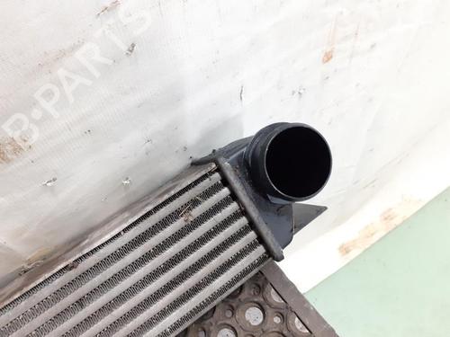 Intercooler BMW 5 (E39) 530 d | BP24783442M30
