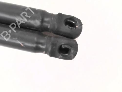 Used Tailgate lift support LANCIA DELTA III (844_) 1.6 D Multijet (844.AXC11, 844.AXC1A) (120 hp) 24781140
