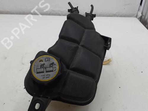 Used Expansion tank LAND ROVER FREELANDER 2 (L359) 2.2 TD4 4x4 (160 hp) 24786892