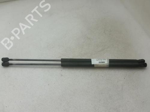 Used Tailgate lift support MAZDA 2 (DY) 1.4 CD (68 hp) 24775719