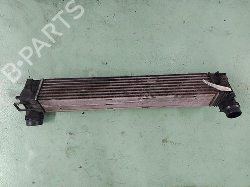 Used Intercooler RENAULT SCÉNIC III (JZ0/1_) 1.9 dCi (JZ0J, JZ1J, JZ1K, JZ1S) (131 hp) 24785887