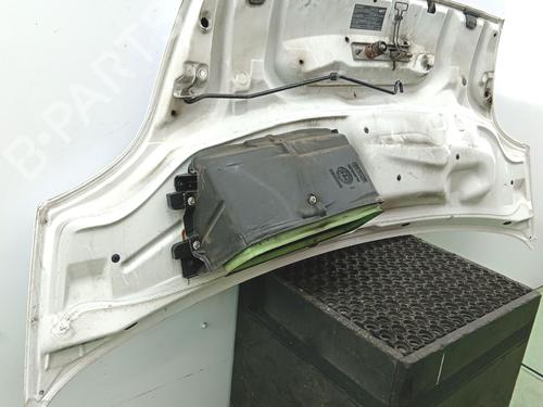 Used Hood Hood RENAULT TRAFIC II Van (FL) 2.0 dCi 115 (FL01, FL0U, FL00, FL0H, FL0M) (114 hp) 40055961 40055961