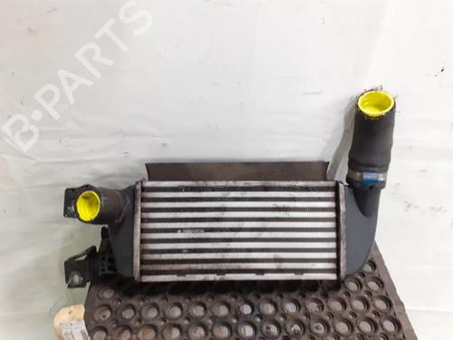 Intercooler FIAT 500 (312_) 1.3 D Multijet (312AXB1A) | BP24781336M30 