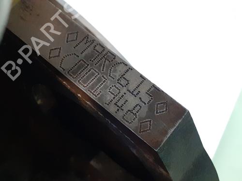 Engine RENAULT SCÉNIC III (JZ0/1_) 2.0 dCi (JZ0Y, JZ26) | BP30491411M1