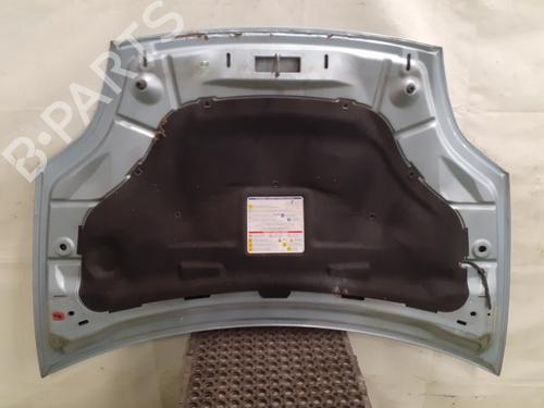 Hood FIAT BRAVO II (198_) 1.9 D Multijet (198AXB1A) | BP24773066C1 