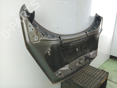 Motorhjelm Motorhjelm RENAULT SCÉNIC III (JZ0/1_) 1.6 dCi (JZ00, JZ12) (130 hp) 35957060 35957060