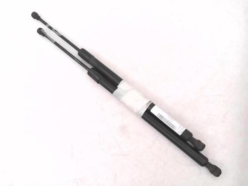 Used Tailgate lift support RENAULT MODUS / GRAND MODUS (F/JP0_) 1.5 dCi (FP0E, JP0E) (65 hp) 24780360