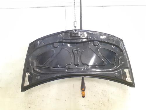 Hood RENAULT CLIO III (BR0/1, CR0/1) 2.0 16V Sport | BP26893184C1 