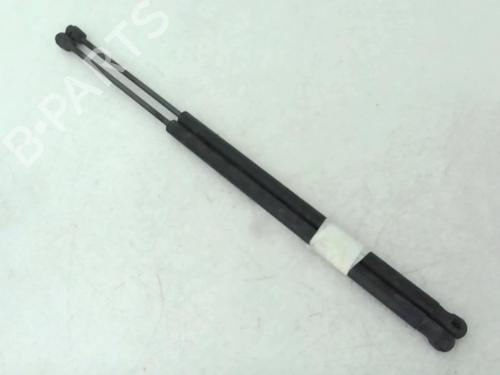 Used Tailgate lift support FORD FIESTA V (JH_, JD_) 1.4 TDCi (68 hp) 24779664