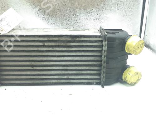 Used Intercooler CITROËN C3 II (SC_) 1.6 HDi 90 (90 hp) 24793855