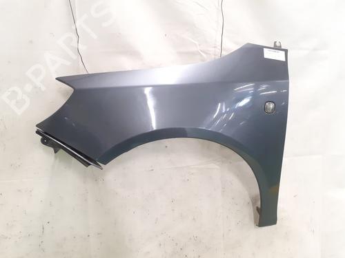 Used Left front fenders SKODA FABIA II (542) 1.9 TDI (105 hp) 24847431