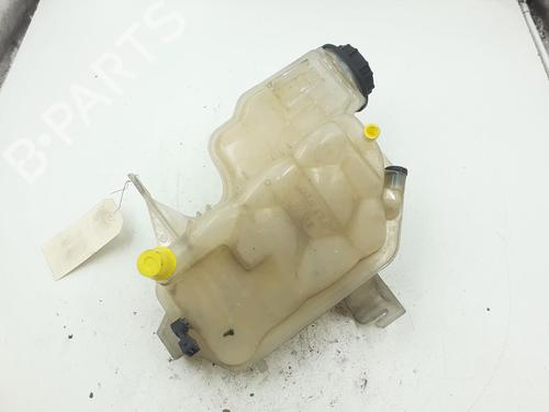 Expansion tank LAND ROVER RANGE ROVER SPORT I (L320) 3.6 D 4x4 | BP24793008C120 