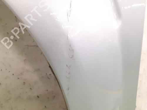 Left front fenders NISSAN PATHFINDER III (R51) 2.5 dCi 4WD | BP27926975C41 