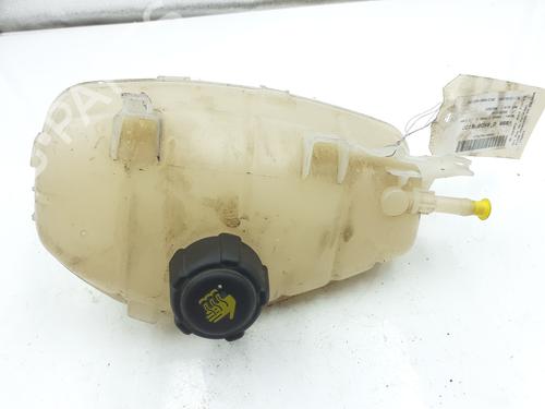 Used Expansion tank RENAULT KANGOO Express (FW0/1_) 1.5 dCi 80 (FW15) (80 hp) 27702082