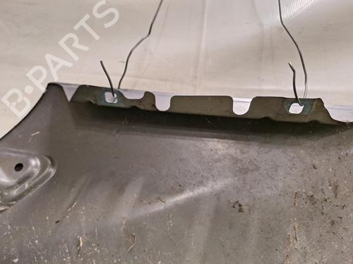 Left front fenders MERCEDES-BENZ A-CLASS (W169) A 180 CDI (169.007, 169.307) | BP29204623C41 