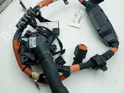 Elektronisk modul RENAULT KANGOO Express (FW0/1_) Z.E. (FW0Z, FW1Z) (60 hp) 24791935