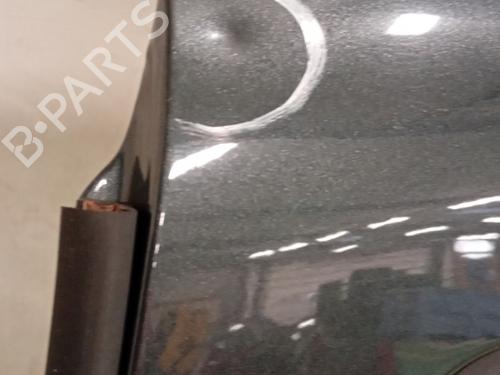 Left rear door DACIA SANDERO II  | BP29829508C4 