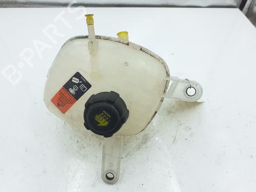 Used Expansion tank RENAULT AUSTRAL E-TECH 200 Hybrid (HGM2) (199 hp) 30460490