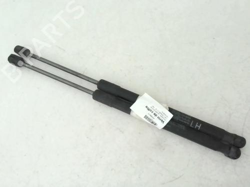 Tailgate lift support HYUNDAI i20 I (PB, PBT) 1.2 | BP24779434C138 