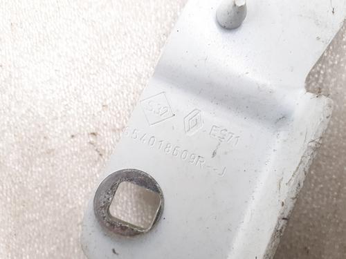 Hinge/Door check strap RENAULT ZOE (BFM_) ZOE | BP24797543C146 