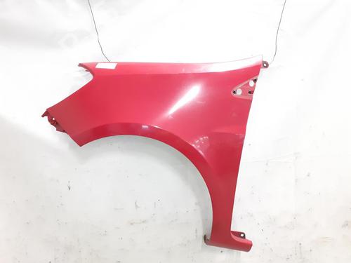 Left front fenders RENAULT CLIO III (BR0/1, CR0/1) 1.2 16V (BR02, BR0J, BR11, CR02, CR0J, CR11) | BP24791891C41 