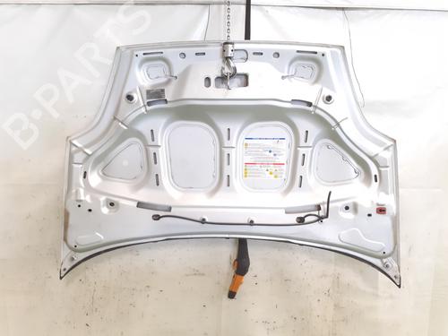 Hood FIAT GRANDE PUNTO (199_) 1.2 | BP26282977C1 
