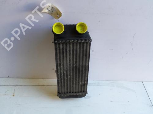 Intercooler PEUGEOT 206 Hatchback (2A/C) 1.6 HDi 110 (109 hp) 24775049