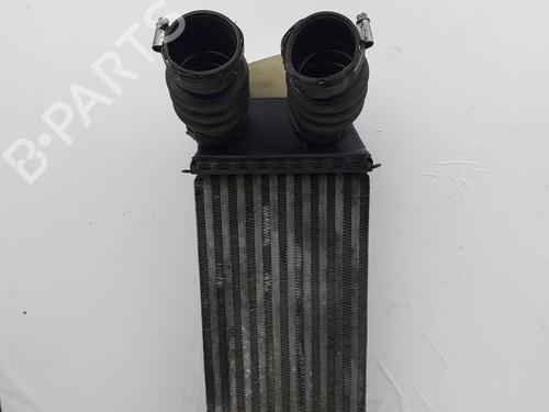 Used Intercooler PEUGEOT 206 SW (2E/K) 1.6 HDi 110 (109 hp) 24787111