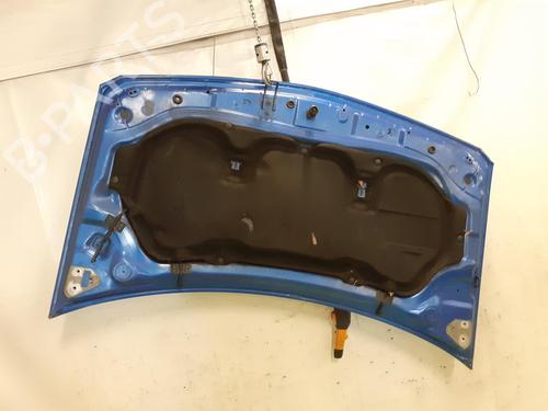 Hood RENAULT MEGANE II (BM0/1_, CM0/1_) 1.9 dCi (BM0G, CM0G) | BP24791706C1 