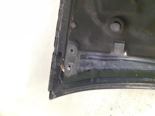 Hood OPEL VECTRA B (J96) 1.7 TD (F19) | BP25913245C1 