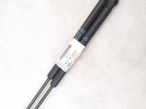 Used Tailgate lift support CITROËN C3 I (FC_, FN_) 1.4 HDi (68 hp) 24791778