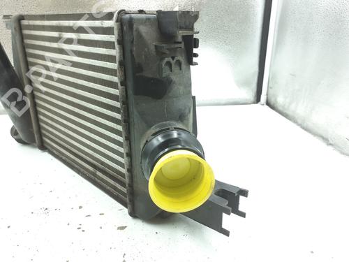 Intercooler DACIA DOKKER Box Body/MPV 1.5 dCi 75 / Blue dCi 75 (FEJW, FEAH) | BP24796826M30 - Image 4
