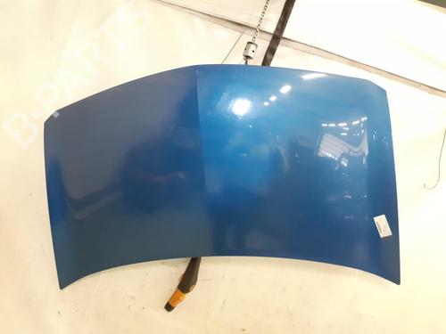 Used Hood RENAULT MEGANE II (BM0/1_, CM0/1_) 1.9 dCi (BM0G, CM0G) (120 hp) 24791706